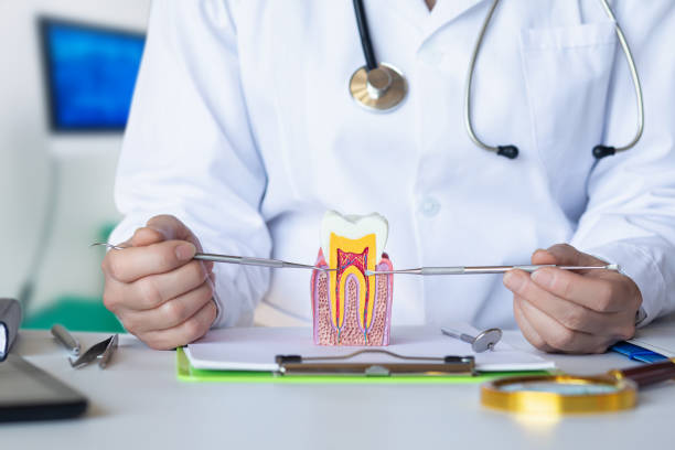 Best Cracked Tooth Emergency Dentist  in Mayfield, OH